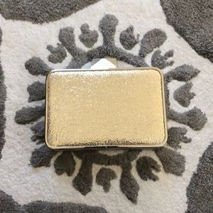 NWOT Badgley Mischka Belle Clutch